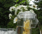 Prodyne Fruit Infusion Flavor Pitcher, 93 oz. - Image 9