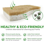 AIRNEX Natural Kitchen Sponges - Image 4