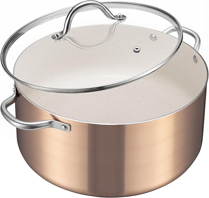 BEZIA Large 10 Quart Nonstick Cooking Pot by BEZIA
