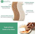 6 Pack Natural Kitchen Sponges, Compostable White Cellulose & Organic Coconut - Image 2
